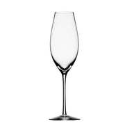 Difference 10 oz. Sparkling Wine or Champagne Glass by Orrefors Glassware Orrefors 