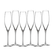 Elegance 9 oz. Crystal Champagne Classic Flute, Set of 6 by Waterford Stemware Waterford 