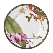 Hummingbird Salad Plate, 8" by Wedgwood Dinnerware Wedgwood 