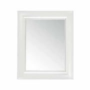 Francois Ghost Mirror, 25" x 31" by Philippe Starck for Kartell Mirror Kartell 