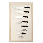 Wall Displays of 7 Kitchen Knives with Lucite Handles by Berti Knive Set Berti Black lucite 