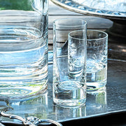 Whisky Set Vodka or Shot Glass, Set of 6, Plain by Moser Glassware Moser 