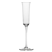 Grace Champagne Flute, 3.3 oz., Set of 4 by Ann Demeulemeester for Serax Glassware Serax 