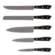 Compendio Kitchen Knives with Lucite Handles, Set of 5 by Berti Knive Set Berti 