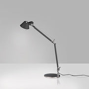 Tolomeo Mini Task Lamp by Michele de Lucchi for Artemide Lighting Artemide Black Base 