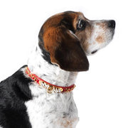 Red Calfskin Dog Collar by Olivia Riegel CLEARANCE Pets Olivia Riegel 