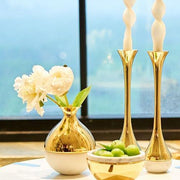 Dual Candle Holder, Set of 2 by ANNA New York Candleholder Anna 