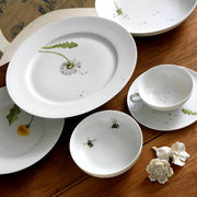 Lotos Bisque Dandelion Dinner Plate, 10.6" by Wolfgang von Wersin for Nymphenburg Porcelain Dinnerware Nymphenburg Porcelain 