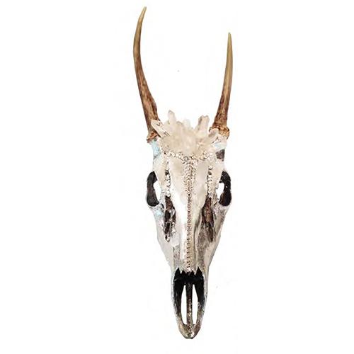 Quarts adorned hot baby deer skull