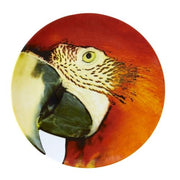 Olhar O Brasil Charger Plate, Red Macaw by Vista Alegre Dinnerware Vista Alegre 