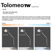 Tolomeo Classic Tunable White (TW) LED Task Lamp by Michele de Lucchi for Artemide Lighting Artemide 