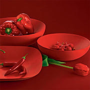 Double Walled Bowl, Red or Black by Donato D'Urbino & Paolo Lomazzi for Alessi Serving Bowl Alessi 