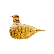 Summer Grouse Bird by Oiva Toikka for Iittala Art Glass Iittala 