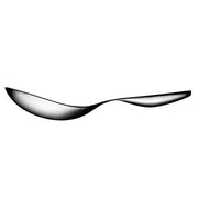 Collective Tools Stainless Steel Serving Spoon by Iittala Service Iittala 