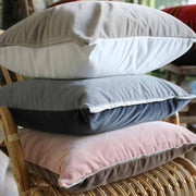Varese 22" x 22" Square Velvet Throw Pillow by Designers Guild Throw Pillows Designers Guild 