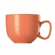 Nature Cappuccino Cup by Thomas Dinnerware Rosenthal Coral 