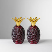 Caterina and Vittoria Acrylic Salt and Pepper Shakers by Mario Luca Giusti ARRIVING FALL 2022 Salt & Pepper Shakers Marioluca Giusti Ruby Red 
