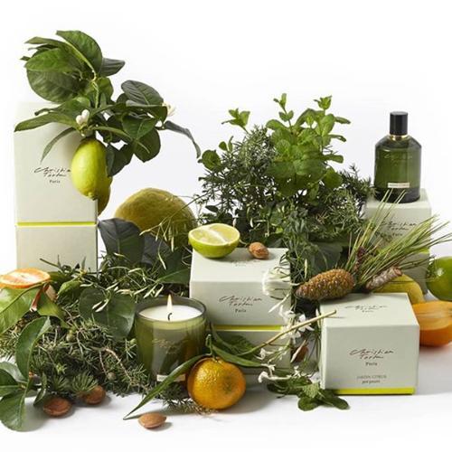 Jardin Citrus 16 oz Potpourri by Christian Tortu Amusespot Unique