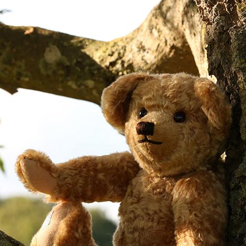 Edward Christopher Robin s Teddy Bear by Merrythought UK CLEARANCE
