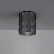 Fiamma Ceiling Lamp by Wilmotte & Industries for Artemide Lighting Artemide Fiamma 15 Anodized Black 