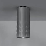 Fiamma Ceiling Lamp by Wilmotte & Industries for Artemide Lighting Artemide Fiamma 30 Anodized Grey 