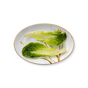 Flora Oval Small Dish, Dandelion, 10.25" by Royal Copenhagen Serving Platters Royal Copenhagen 