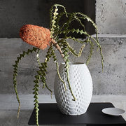 Phi Snow Vase by Rosenthal Vases, Bowls, & Objects Rosenthal 