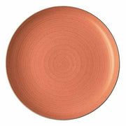 Nature Dinner Plate, 10.5" by Thomas Dinnerware Rosenthal Coral 