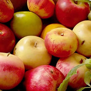 Apples Italian Carrara Marble Stone Fruit Artificial Food Amusespot 