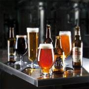 Beer 16 oz. Tasting Glasses, Set of 4 by Orrefors Glassware Orrefors 