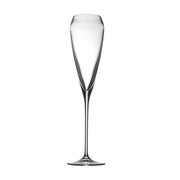 TAC Champagne Glass by Rosenthal Glassware Rosenthal Vintage 